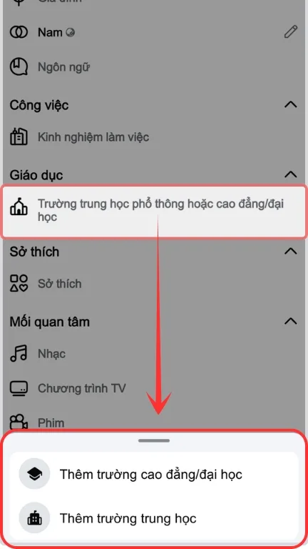Chọn mục Thêm trường cao đẳng đại học hoặc trường trung học trong ứng dụng Facebook