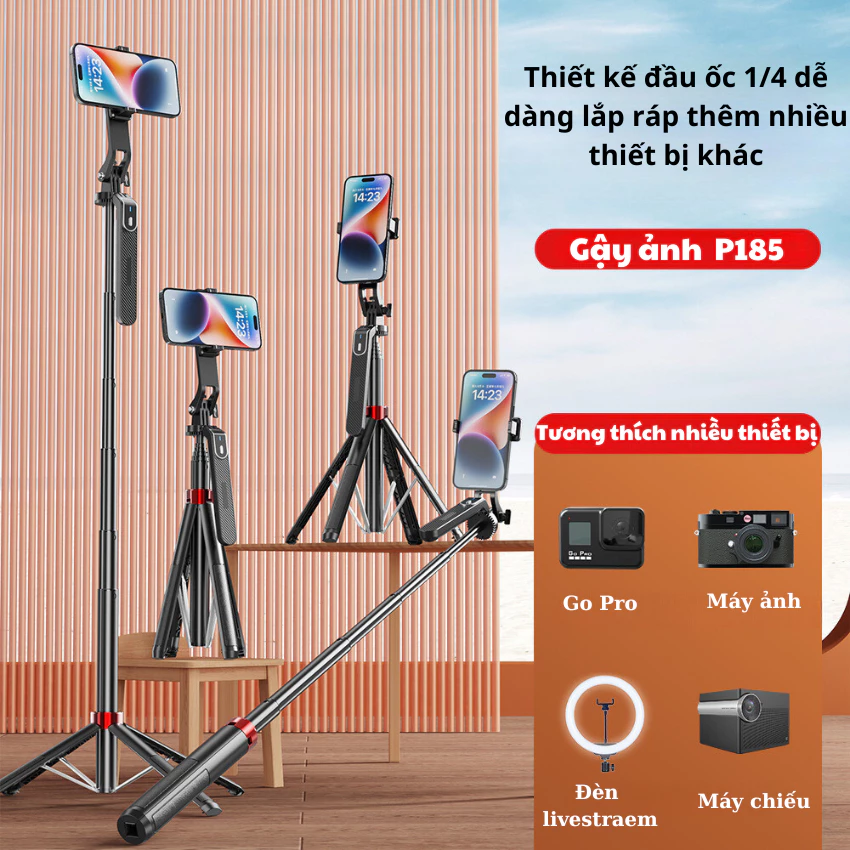 gậy chụp hình p185